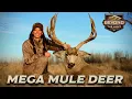 MEGA MULE DEER HUNT I The Blowout Buck I Beyond The Hunt
