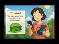 What is a Thylakoid - Easy to Understand