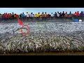 Download Lagu Woow!! This is how traditional Raponkar fishermen work in Caranzalem, Goa 😱