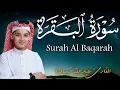 سورة البقرة كاملة || لطرد الشياطين وتحصين المنزل || الطفل القارئ عبدالله شعبان ||  Surat Al Baqarah