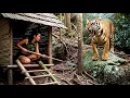 Download Lagu Young Girl Survives 60days in The Jungle Builds a Tree Shelter And Encounters The King of The Jungle