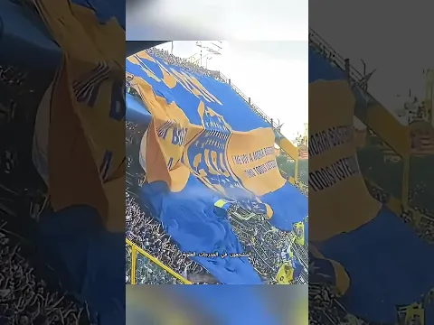 لهذا السبب يجب أن تختار مقعدك بعناية في مباراة كرة القدم! 😱⚽