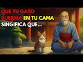 Download Lagu El SIGNIFICADO Oculto De Que Tu Gato DUERMA CONTIGO Por La Noche - Historia Zen