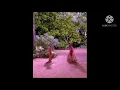Download Lagu sham rang mein rangi radhika aaj hui matwari........ radhe radhe