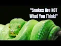 Snakes Are Way Weirder Than You Think
