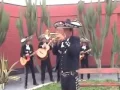 Download Lagu LA PALOMA - MARIACHI NUEVO JALISCO -  SOLO DE TROMPETA DE CESAR RIVERA -TELF. 5681512 - 989993475