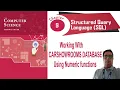 NCERT Class 12 Chapter 9 Numeric functions in MYSQL Queries on carshowroom database