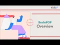 Brain Overview