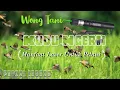 Download Lagu Inovasi Baru Mengusir Burung Pipit Pada Tanaman Padi\