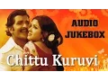 Download Lagu Chittu Kuruvi (1978) All Songs Jukebox | Sivakumar, Sumithra | Ilaiyaraaja Tamil Hits