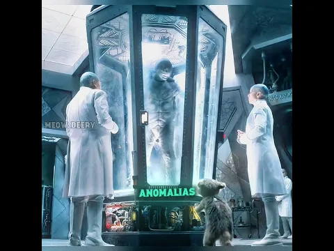 Esta tartaruga foi colocada na máquina, ampliada e posicionada atrás deste urso.😱