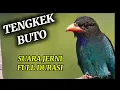 Lagu TENGKEK BUTO SUARA JERNIH FULL DURASI