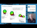 Feature Phased-Array Simulations for 5G