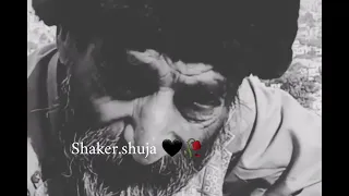 میر آغا سالنگی 2023 