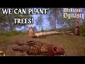 Planting Tress in Medieval Dynasty