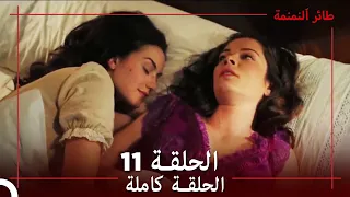 طائر النمنمة الحلقة 11 جودة عالية 