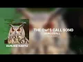 Download Lagu FARID EGALL - THE Owl'S CALL SONG - (BURHAN)   | OFFICIAL AUDIO