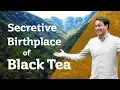 Secretive Birthplace of Black Tea - TONG MU PARADISE