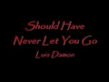 I Should Have Never Let You Go - Luis Damon
