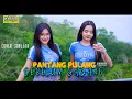 Download Lagu DJ PANTANG PULANG SEBELUM SAYANG - COVER SOULJAH