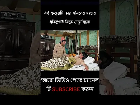 এই কুকুরটি তার মনিবের হত্যার প্রতিশোধ নিতে চেয়েছিলো | Movies Explain In Bangla #shorts