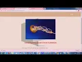 Heterogeneous Data Storage Management with Deduplication in Cloud Computing