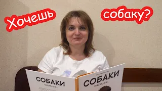 Хочешь завести собаку?