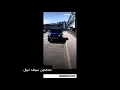 سيف نبيل وصل الى لندن