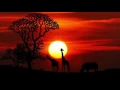 Diviners - Savannah (Avicii \u0026 Kygo Style)