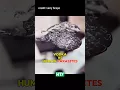 Download Lagu Vodka vs. Parasitic Worms - You Won’t Believe This 🔬