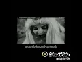 Download Lagu Mak lampir bilang kata-kata bijak 🙂
