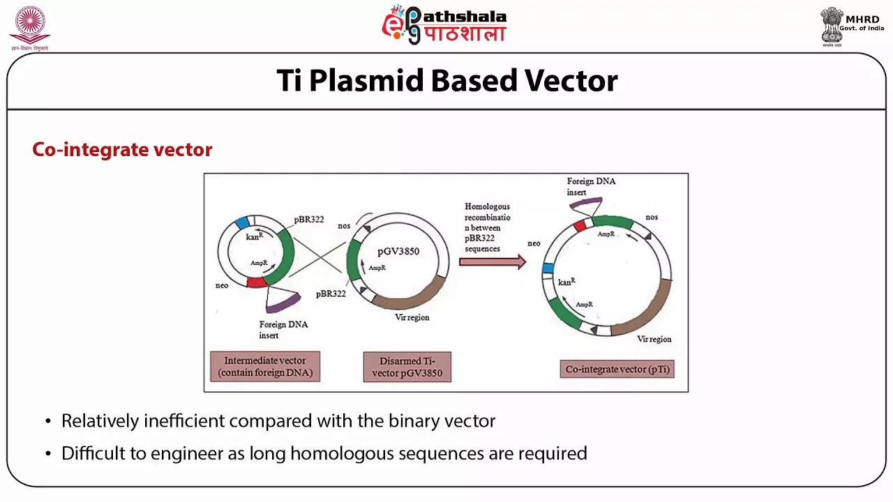 Features of Ti and Ri Plasmids and their use as vectors, Binary and co-integrate vectors