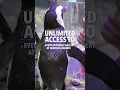 Pay for a Day Come Back All Year AQUA PASS 2025
