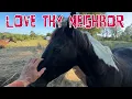 Download Lagu Neighbor’s Horses are Hungry 