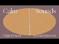 Calm Sounds: Dalal - Nuvole Bianche (Ludovico Einaudi) [Official Audio]