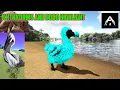 Ark survival evolved Ichthyornis and Dodo abilities and how to use