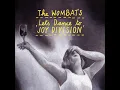 Let's Dance to Joy Division (Full Length Version)