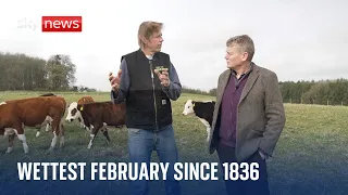 is soil the solution to wet winters