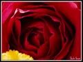 Marvin Gaye /   You're A Wonderful  One