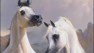 ويه باسم نسيمه عبدالمجيد عبدالله دندنها