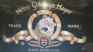 Winchester Films Logo