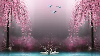 Great Music For The Soul Great Music Sergey Grischuk Helps Calm The Nervous System Relax  Great Music For The Soul Great Music Sergey Grischuk Helps Calm The Nervous System Relax