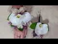 Making corsage an boutonniere set for prom and wedding from potted orchid