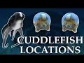 Where To Find ALL 5 CUDDLEFISH EGGS in Subnautica Cuddlefish Eggs Locations Subnautica Tutorial