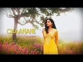 CHAANANI (Official Remix) | SHUBH M X BURRAH | Latest Punjabi Song 2025 | #punjabisong #lofisongs