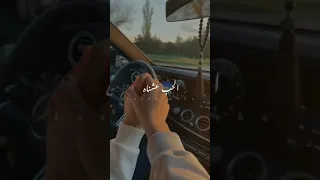 حالات واتس اب   فين الحب دندنها