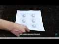 RDVision Tutorial Episode 3 Template Matching and Array Processing