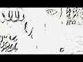 DUALITY - rosemarY. (First Upload of 2023)