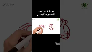 معلومات صادمة عن تدخين الحشيش تعرض لأول مرة 