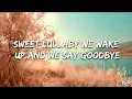 Nao - Wildflowers (Lyrics)
